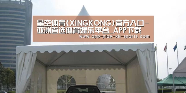 案例标题八