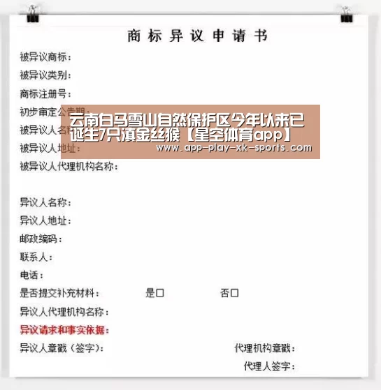 星空体育官网
