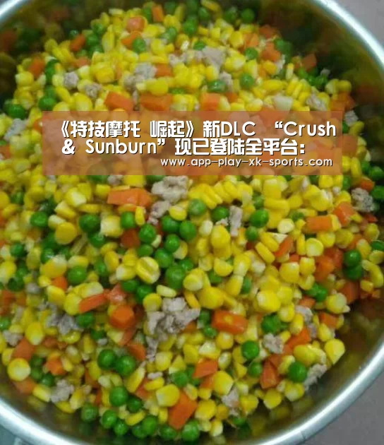 星空体育官网