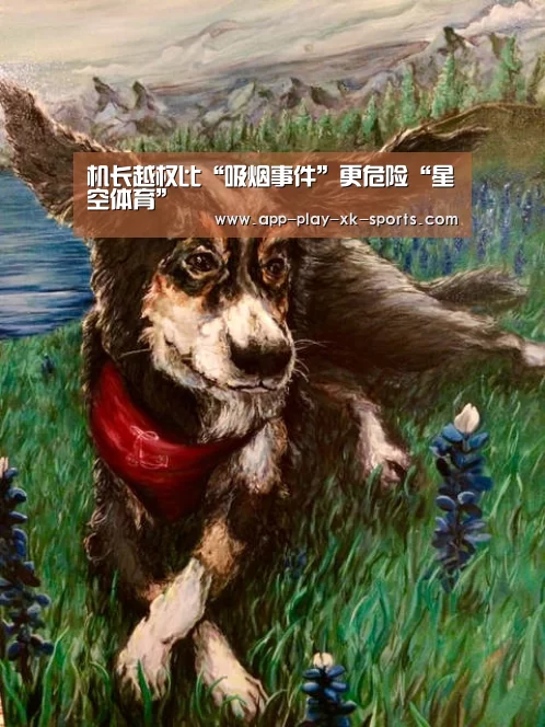 星空体育app