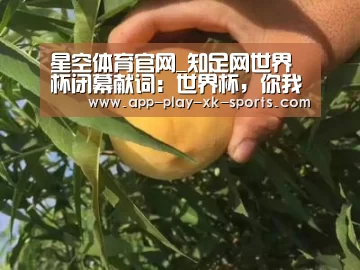 星空体育