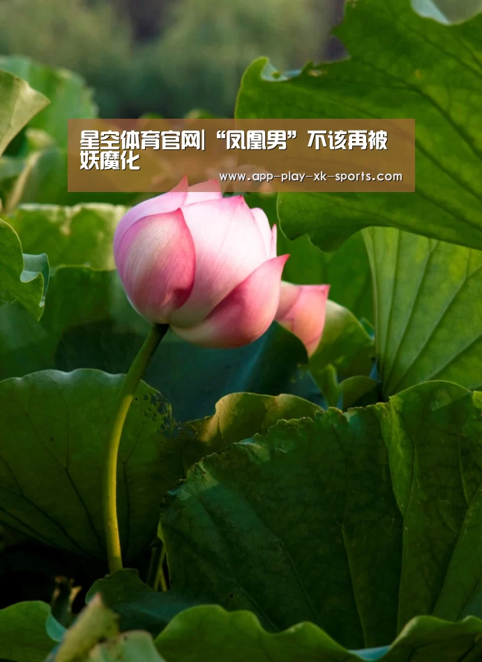 星空体育app