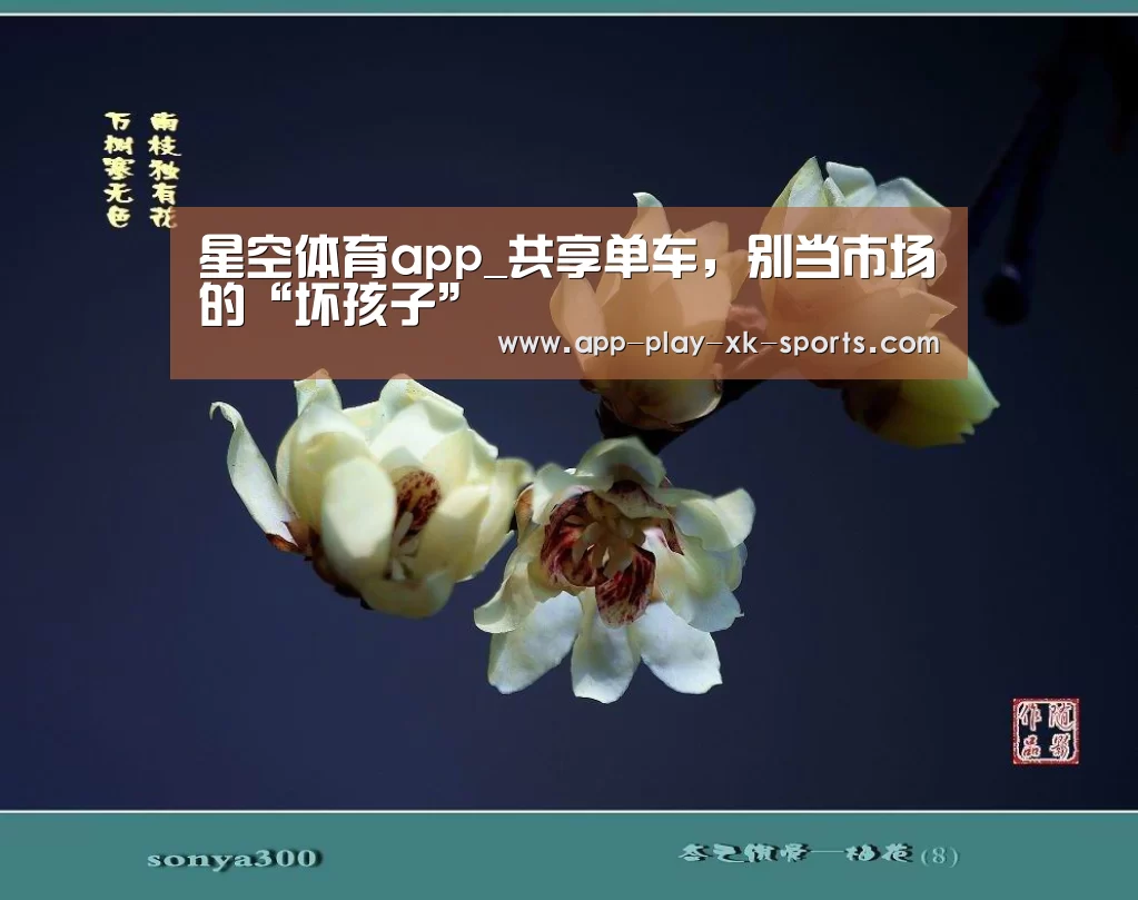 星空体育app