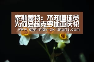 星空体育官网